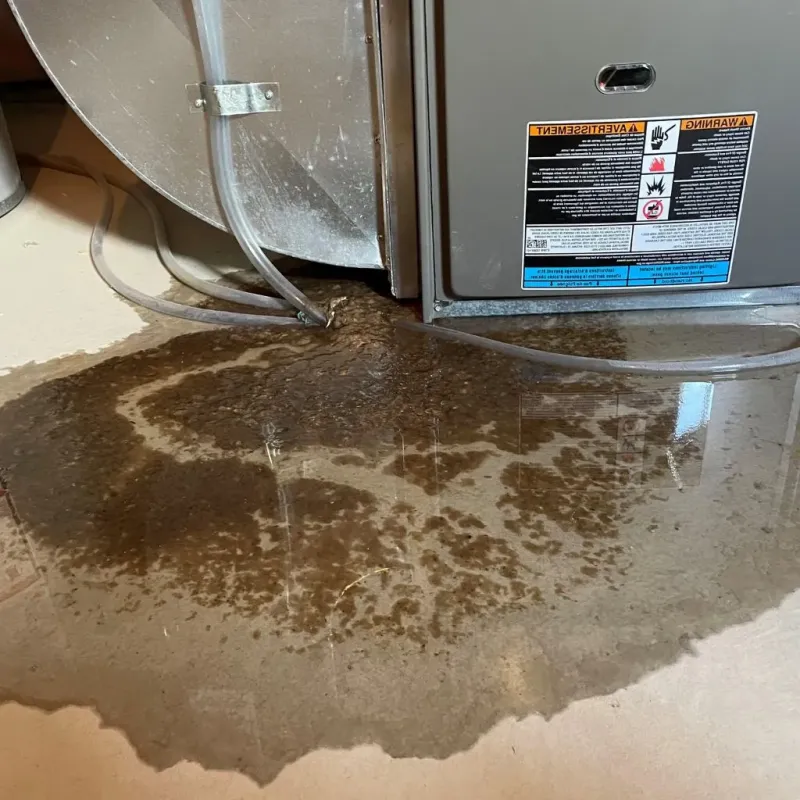 Pipe Burst and Leak Restoration in Munford, TN