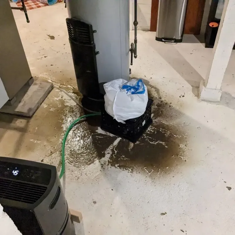 Sewage Backup Cleanup Service in Munford, TN